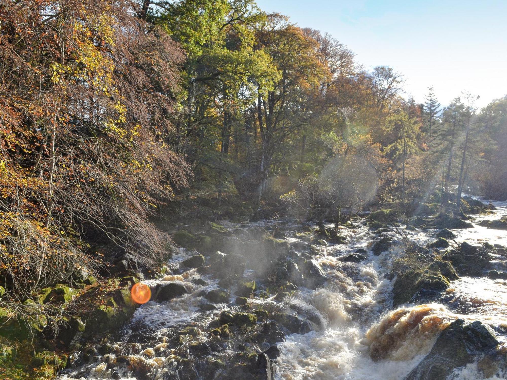 Toll Bridge Lodge Banchory Dış mekan fotoğraf