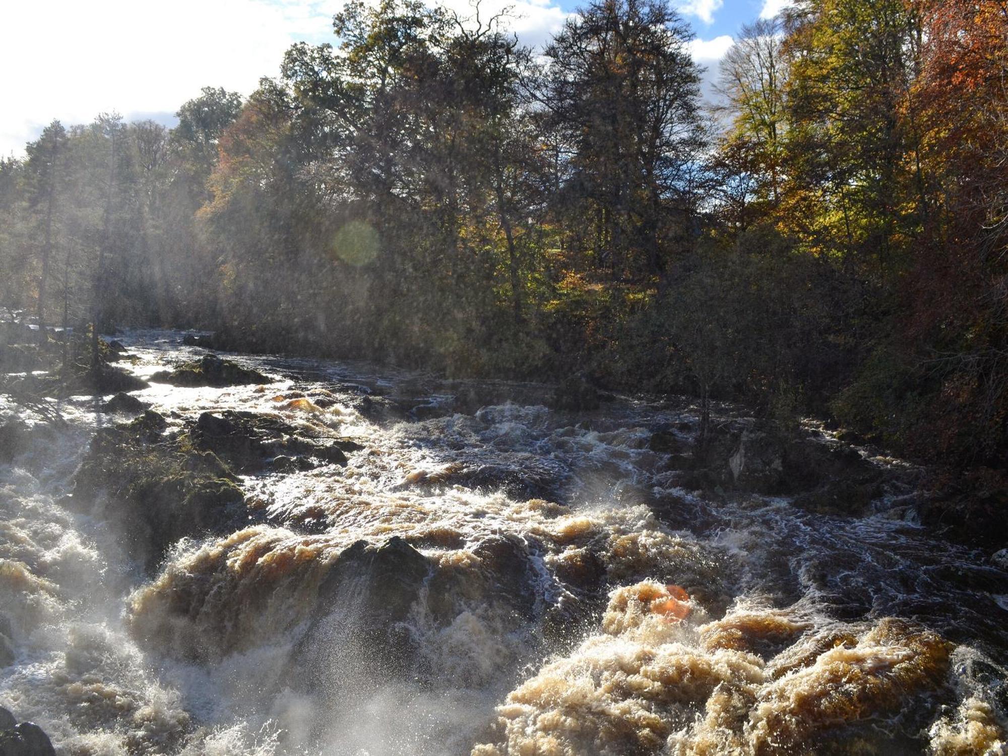 Toll Bridge Lodge Banchory Dış mekan fotoğraf